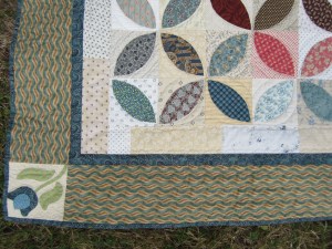 bordure ronde des pétales