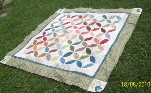 top pétales + bordures