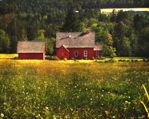 SmallSchoolhouse