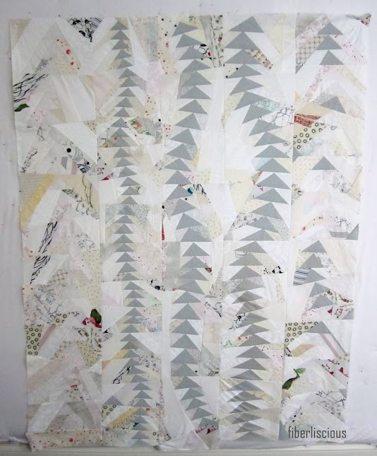 IMG_5208topfiberliscious