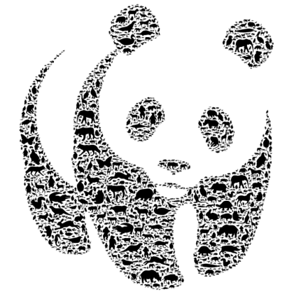 wp_WWF_Panda