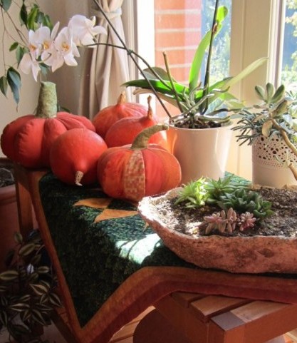 potimarrons-octobre (1)