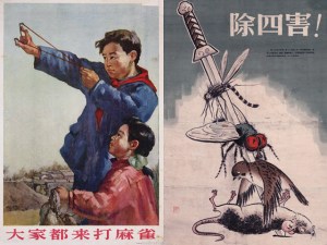 Mao campagne 4 nuisibles