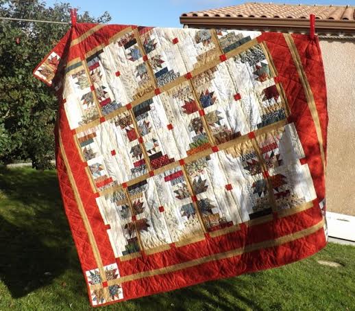 Grande Ourse séchant