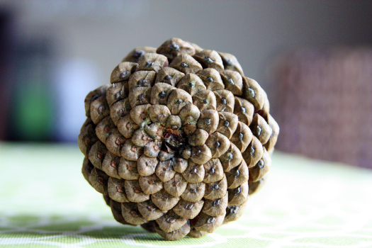 PineconeNapkinRings3
