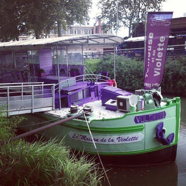 La Maison de la Violette Toulouse