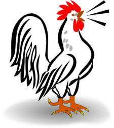 coq-cocorico-225x251