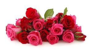 Red-Rose-Pink-Rose-Flowers-Bouquet-HD-Wallpaper