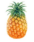 ananas1
