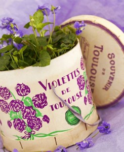 6d9df4348ff34956fe2caa68240b236a