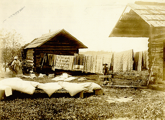 Seattle Cabin Quilt Airing