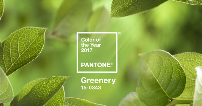 la_couleur_pantone_de_l_ann__e_2017_6421-jpeg_north_647x_white