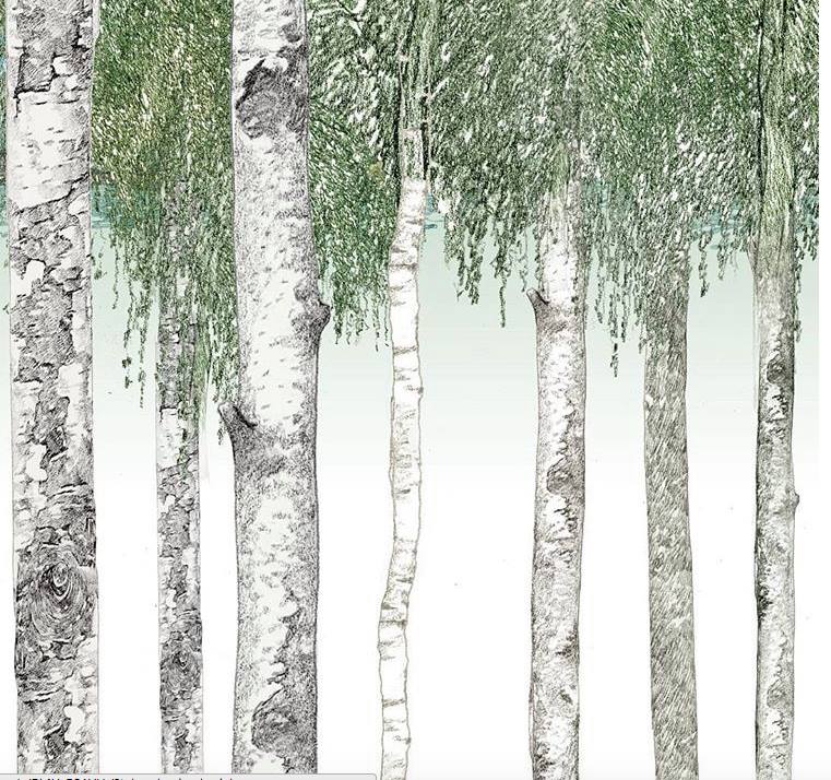 33400756_2017400505254688_2164663405514850304_n