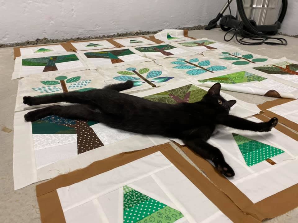 90186247_3331004663579723_6757123960619401216_n